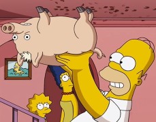 Homero y su nueva mascota