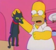 Homero y su gato