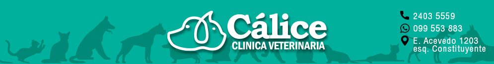 Veterinaria Cálice - Montevideo, Urguay